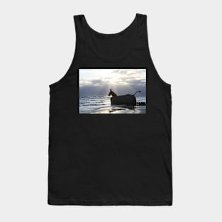 Blavandshuk evening mood Tank Top